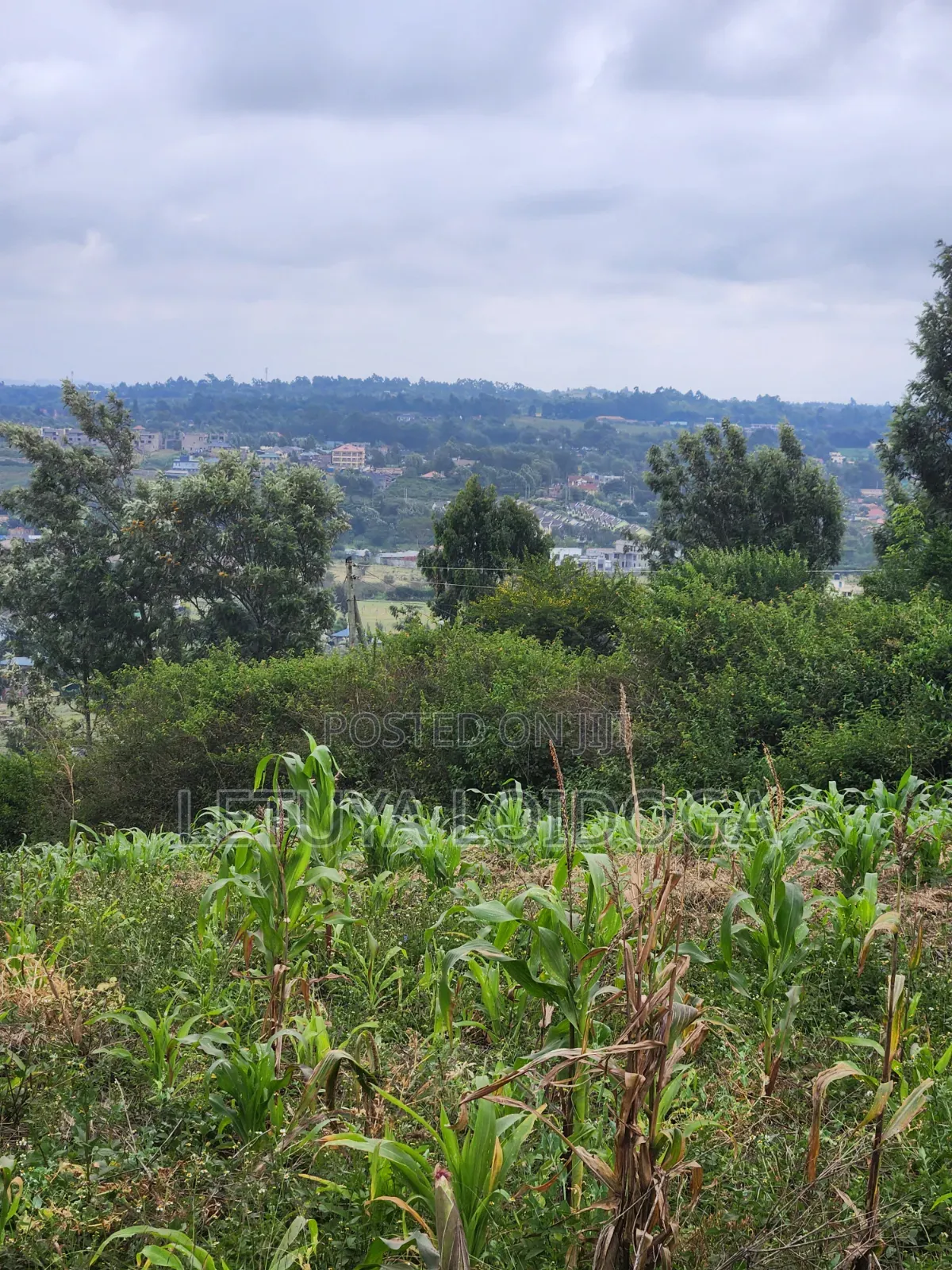 Prime Beautiful 2 Acres Ngong-Kibiko