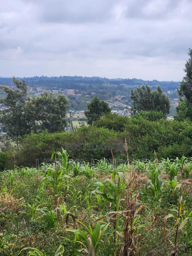 Prime Beautiful 2 Acres Ngong-Kibiko - thumbnail 7