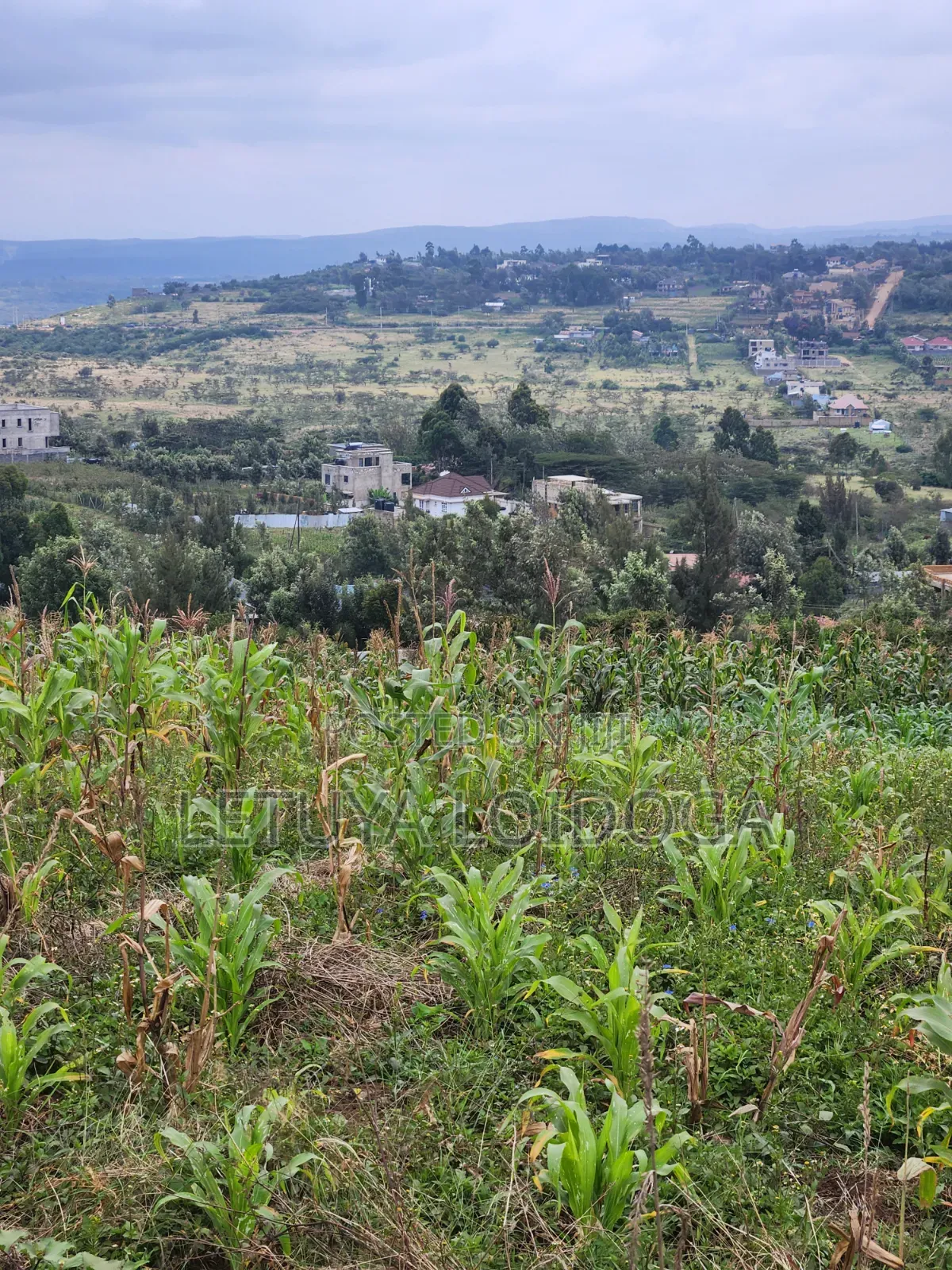Prime Beautiful 2 Acres Ngong-Kibiko