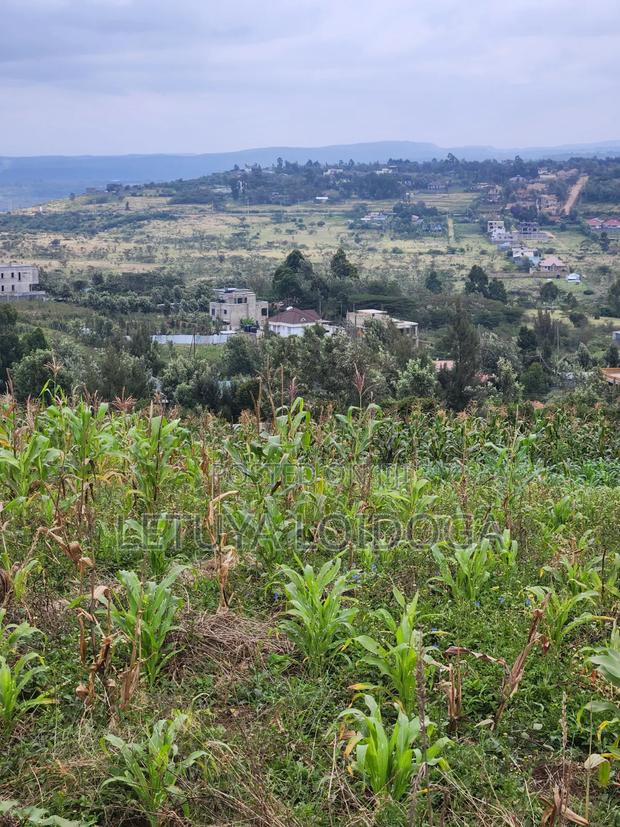 Prime Beautiful 2 Acres Ngong-Kibiko - thumbnail 8