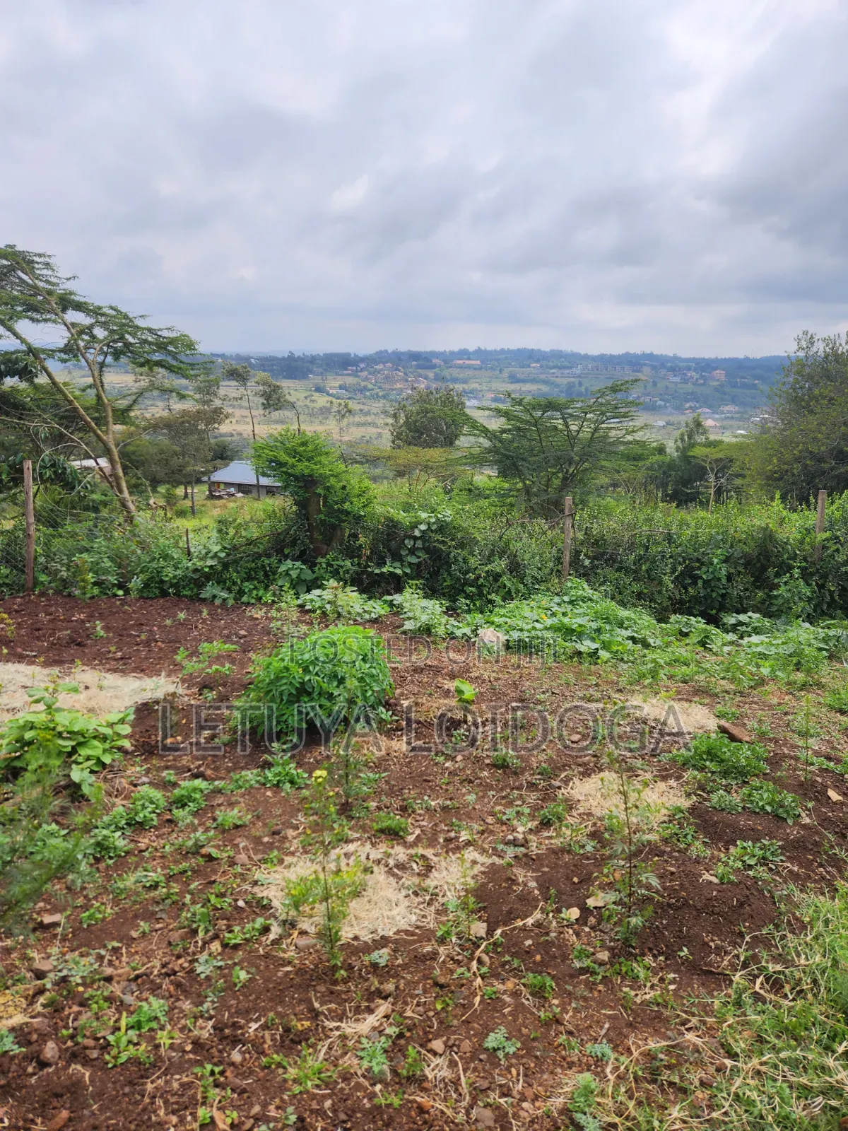 3bdrm Bungalow in Booster, Kibiku for sale