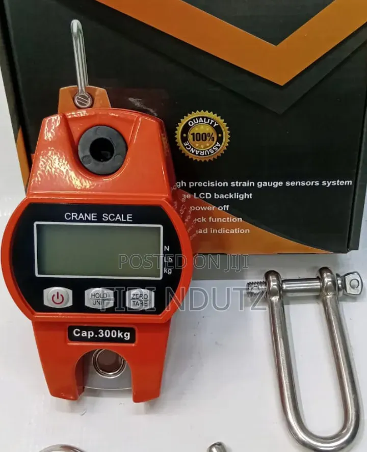 Affordable 300kg Crane Hanging Weighing Scale