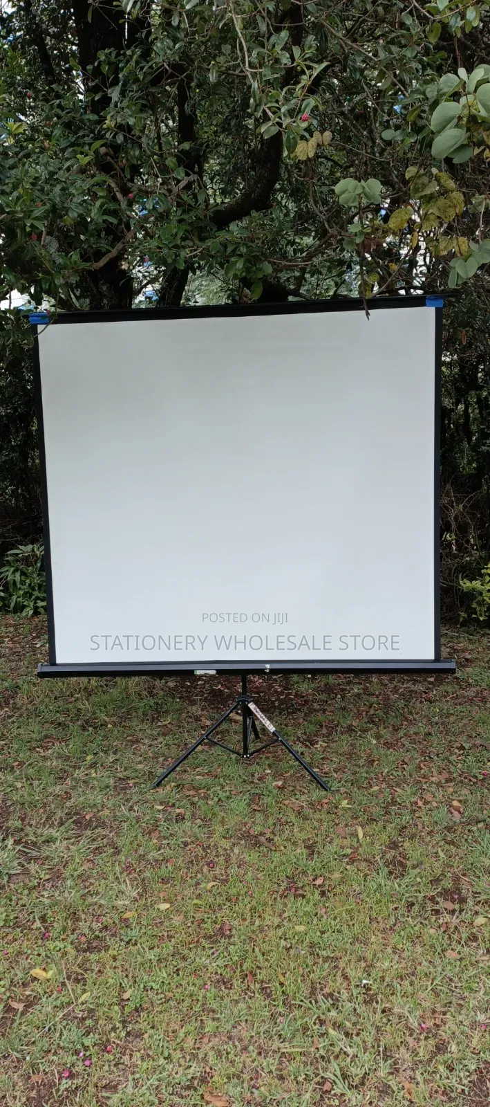 Projector for Hire for Watching Rugby Hire Now.