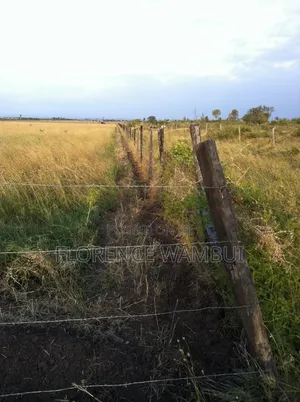 Plot for Sale