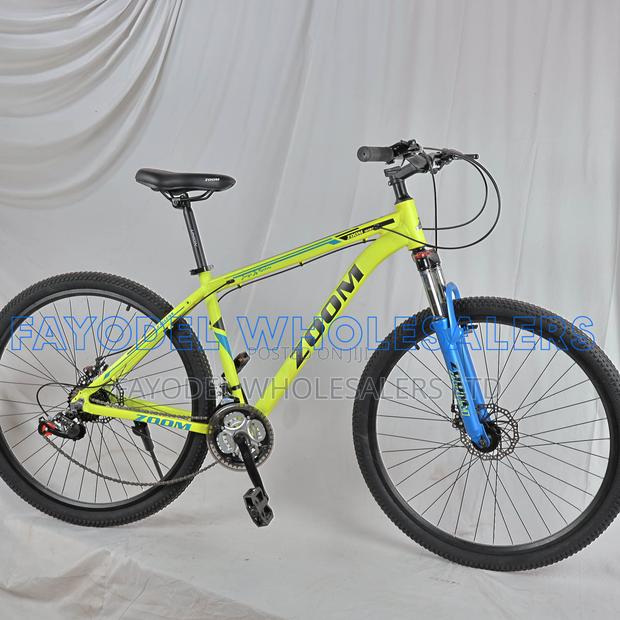 Zoom 29" Mountain Bicycle With Disc Brakes