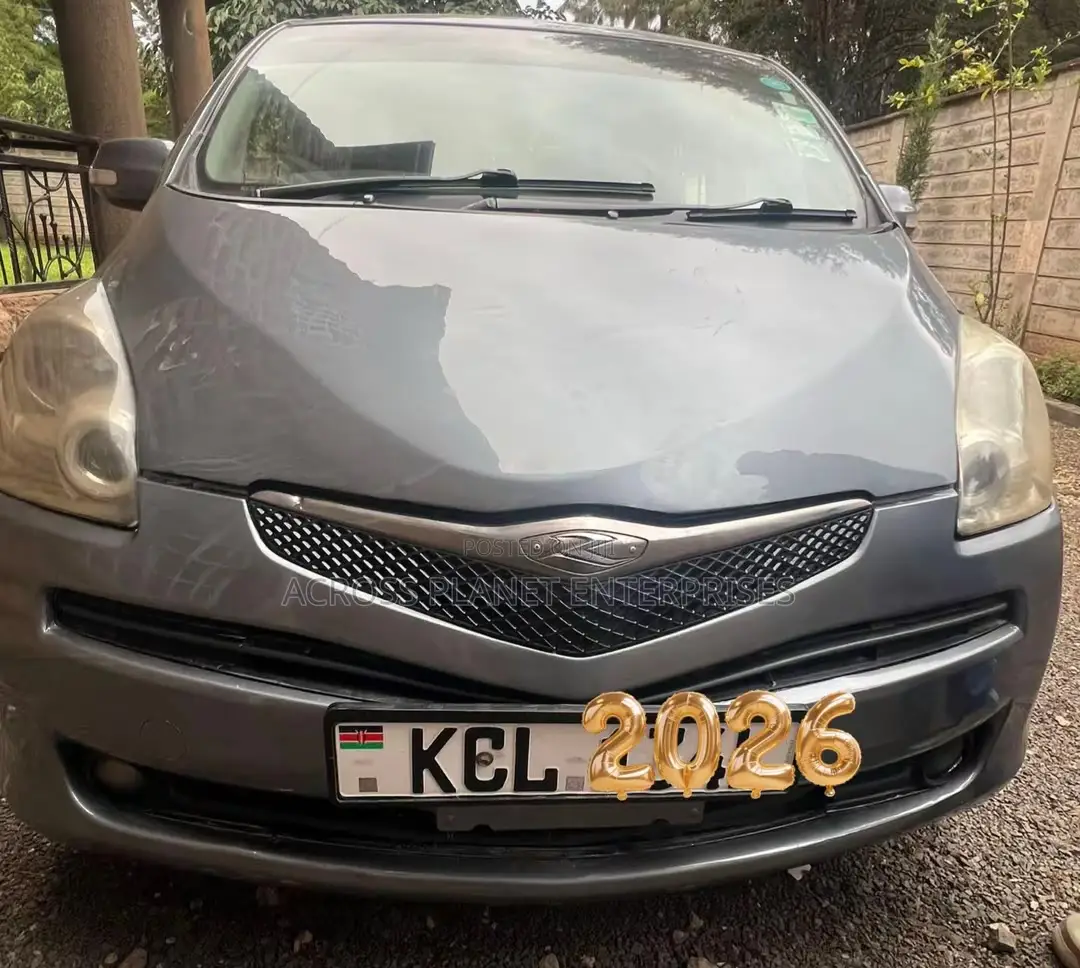 Toyota Ractis 2010 Gray