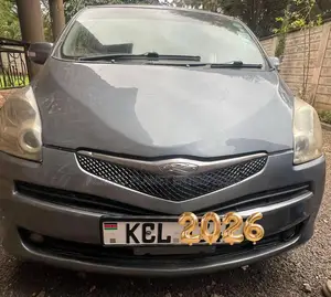 Toyota Ractis 2010 Gray