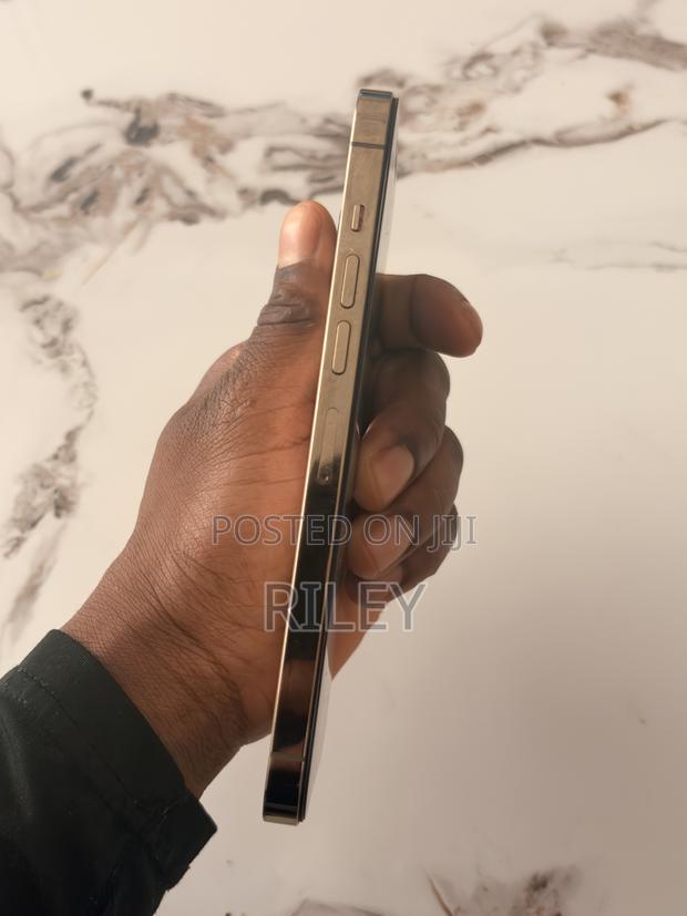 Apple iPhone 13 Pro Max 128 GB Gold - thumbnail 3