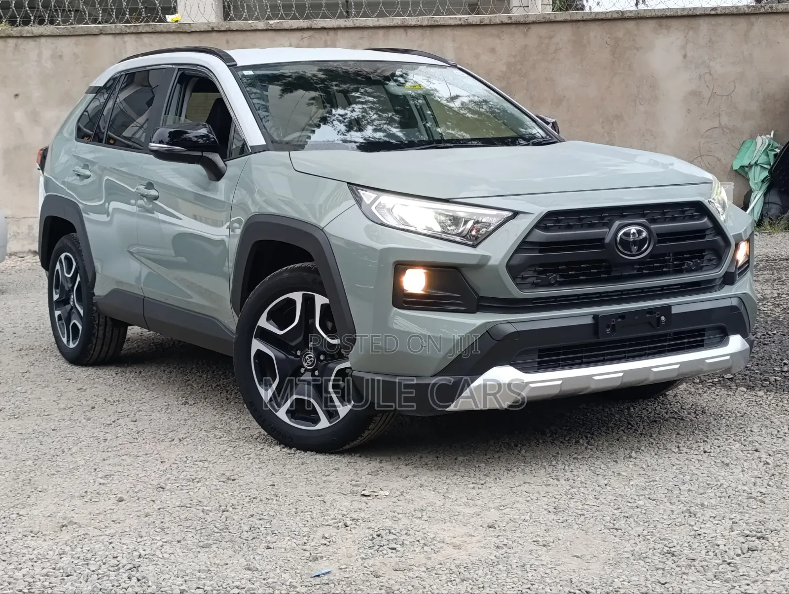 Toyota RAV4 2019 Beige