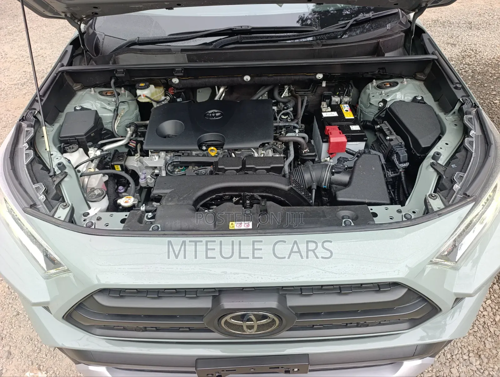 Toyota RAV4 2019 Beige