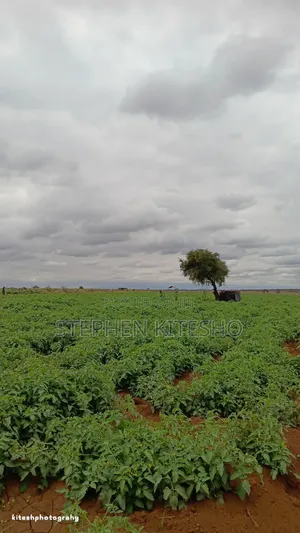 13acres for Sale Loitoktok Seneti Area
