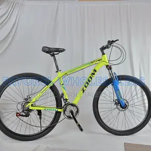 Zoom Sports Mountain Bike – 29 Inch
