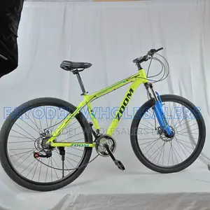 Zoom 29er Bicycle for Road and Trail Riding