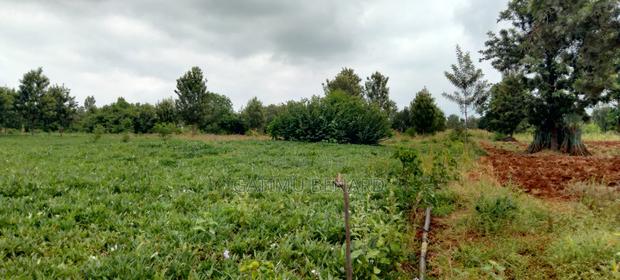 Half Acre for Sale in Mwea Kimbimbi Ngucui