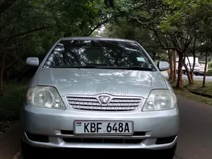 Toyota Allex 2003 Silver