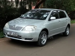 Toyota Allex 2003 Silver