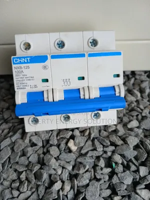 Chint 100 Tp NXB-125