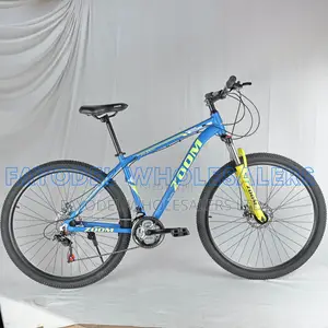 Zoom Adult Mountain Bike With Suspension Fork