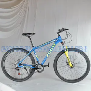 Zoom 29er Sports Bike