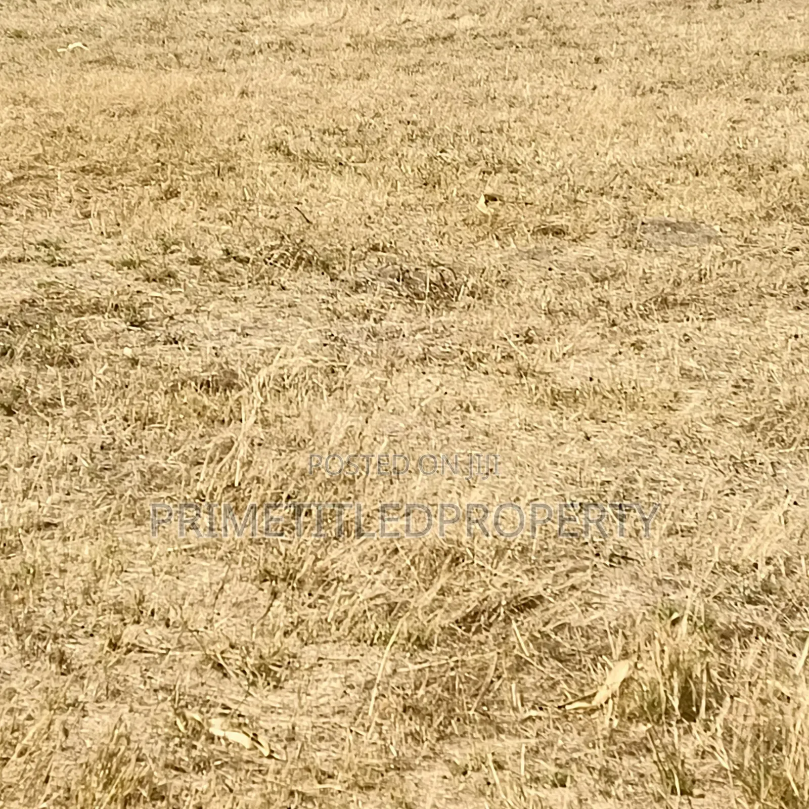 5 Acres at Kangundo, Donyo Sabuk