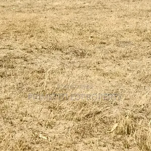 5 Acres at Kangundo, Donyo Sabuk