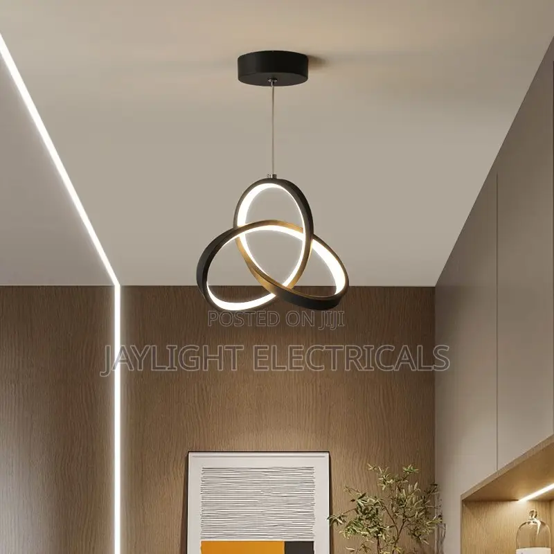 Pendent Lamp Iron Ceiling Lighting Fixture