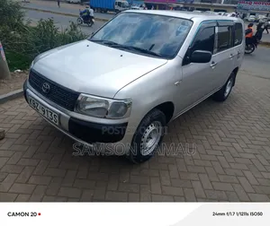 Toyota Probox 2007 Silver