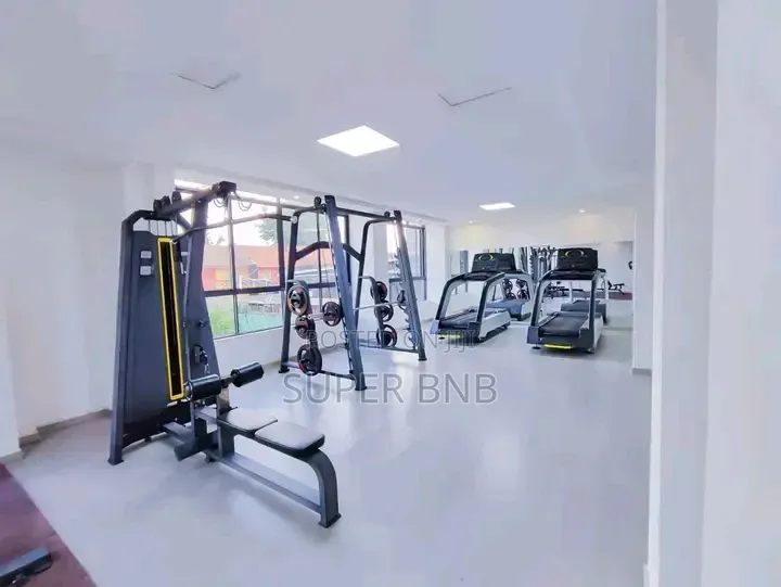 Furnished Studio 1 Bedroom Airbnb Apartment in Lavington Kilimani Nai