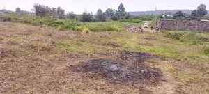 50x100 Plots for Sale in Kikuyu Nachu Ready Title Deeds From Kes