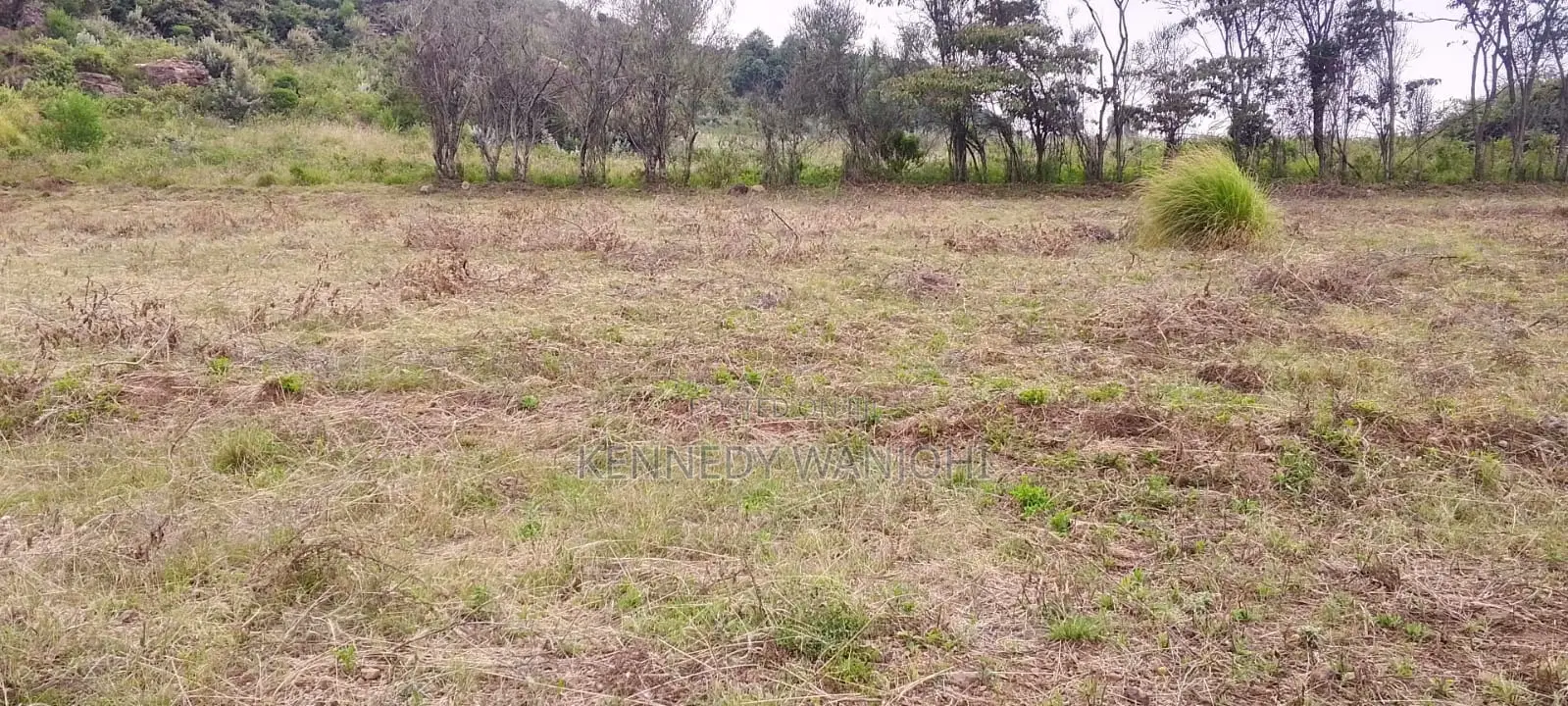 50x100 Plots for Sale in Kikuyu Nachu Ready Title Deeds From Kes