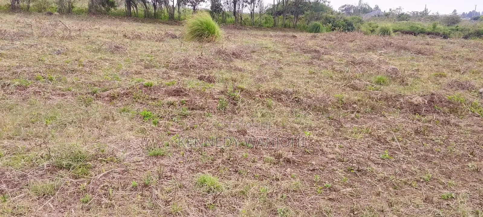 50x100 Plots for Sale in Kikuyu Nachu Ready Title Deeds From Kes
