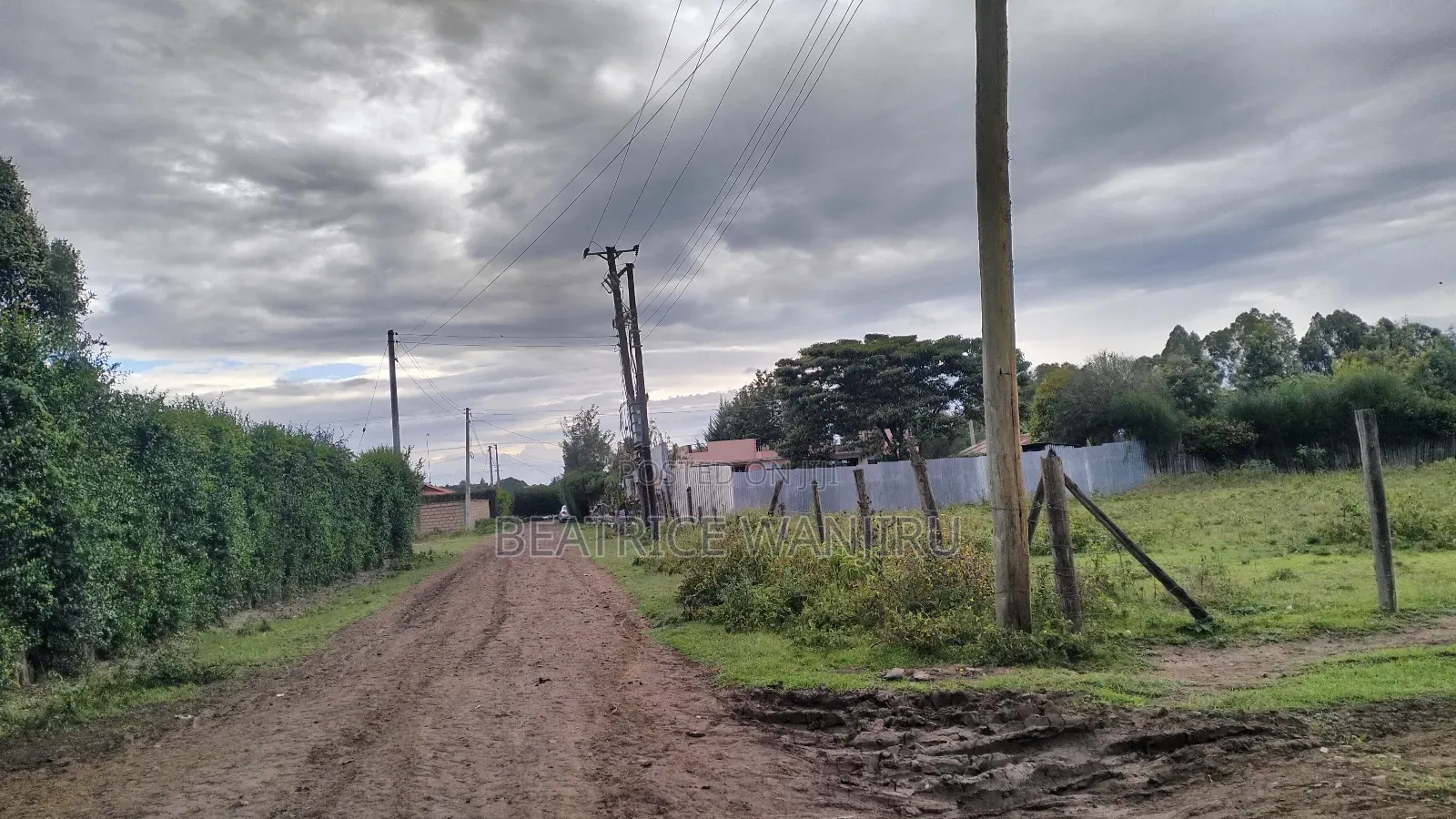 Plot for Sale in Nanyuki