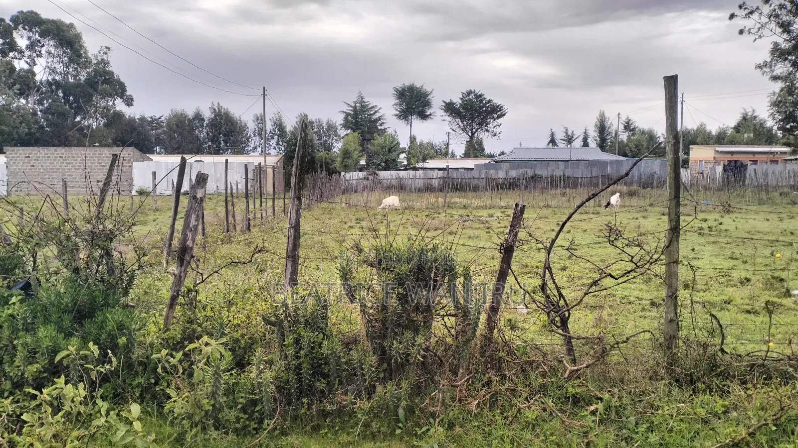 Plot for Sale in Nanyuki