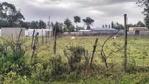Plot for Sale in Nanyuki