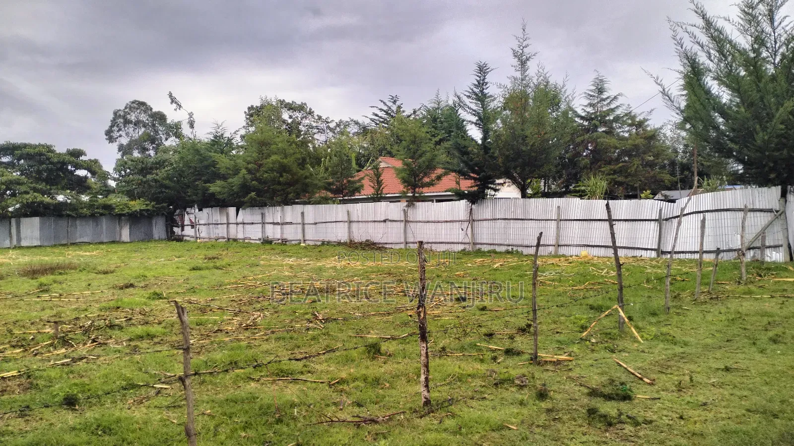 Plot for Sale in Nanyuki