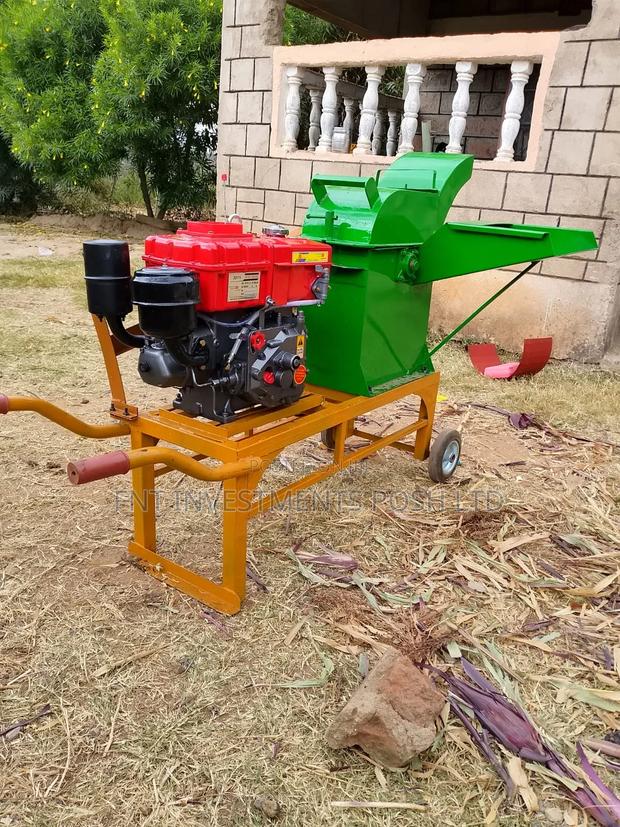 Heavy Duty Diesel Silage Chopper for Farmers