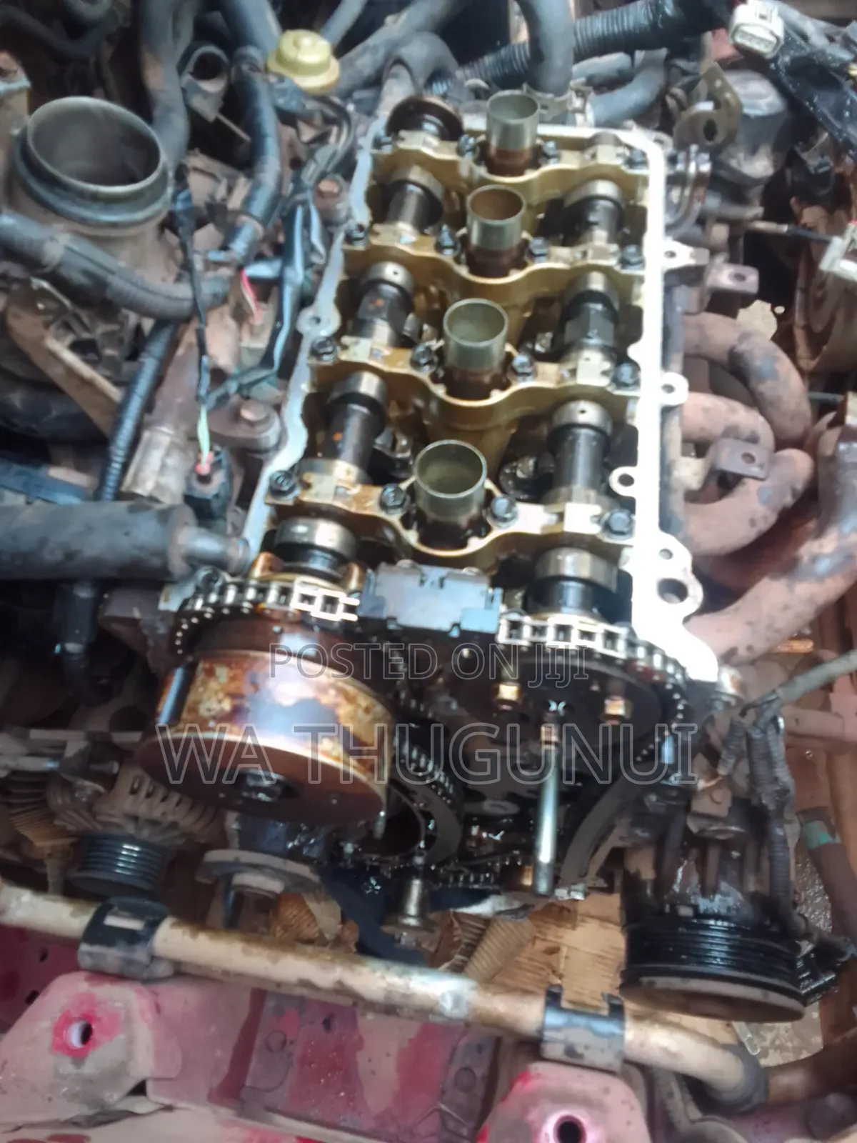 Car Diagnosis