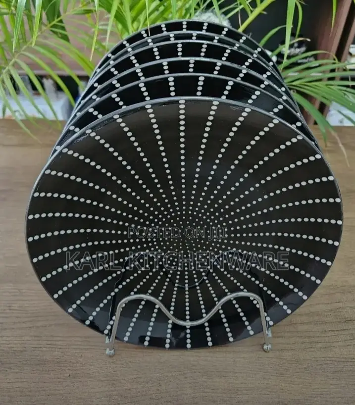 6-Piece Premium Ceramic Dinner Plates