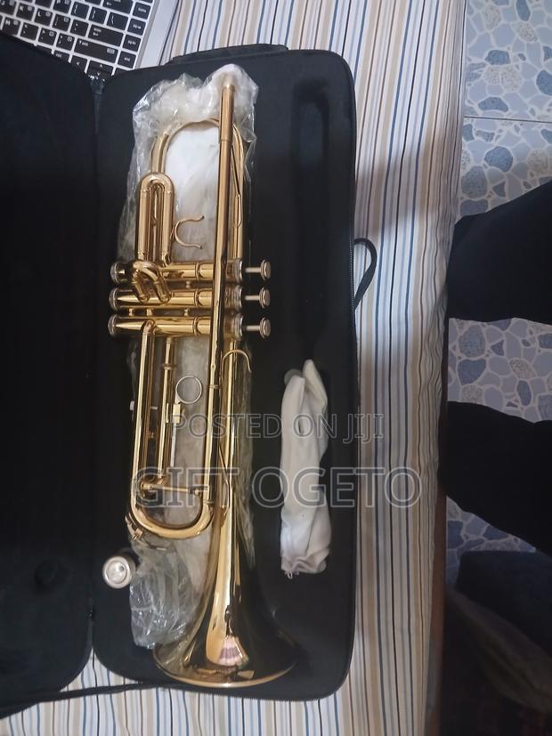 Truvox Trumpet - main view