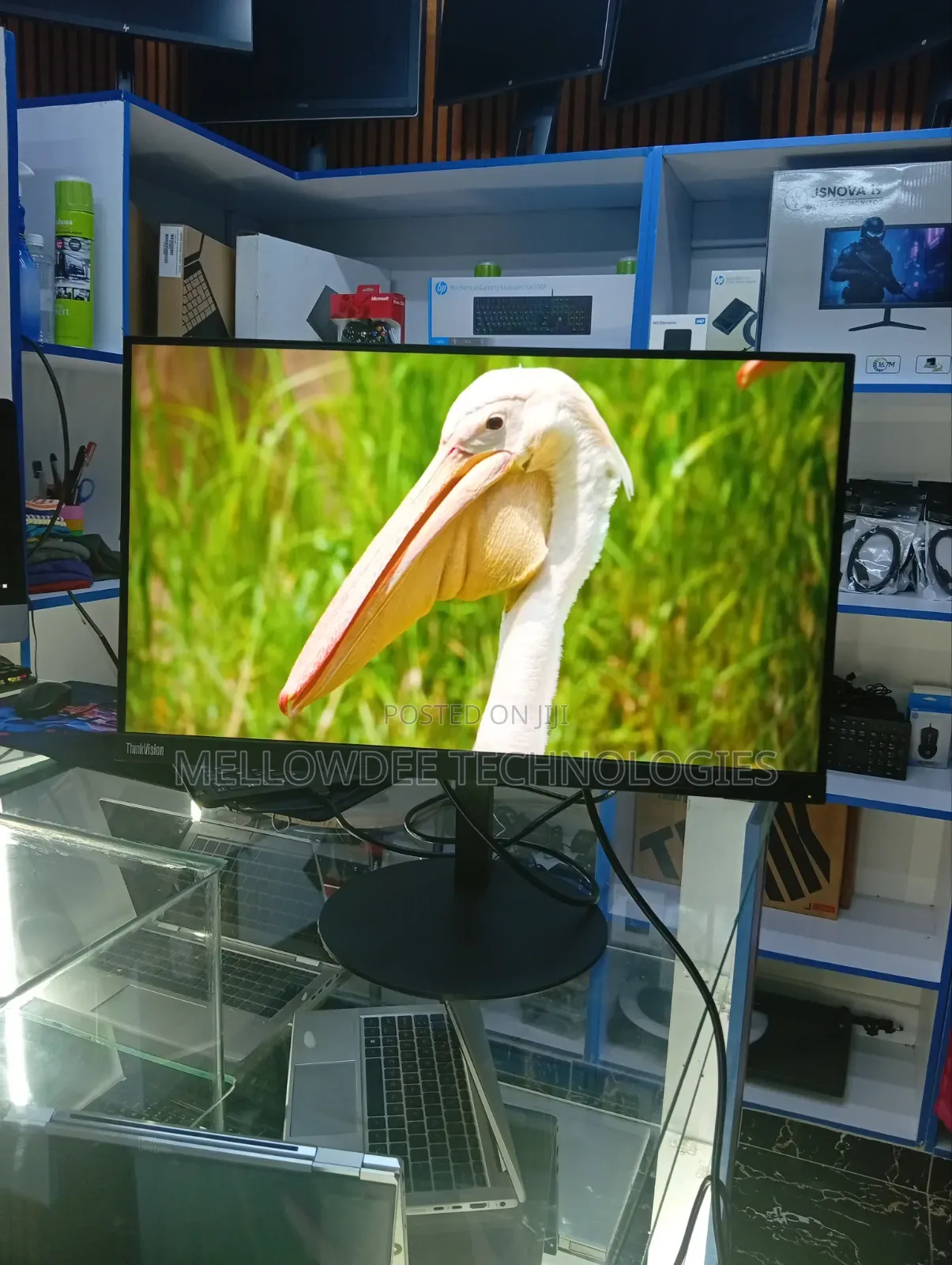 Lenovo 24 Inch Edge to Edge Monitor
