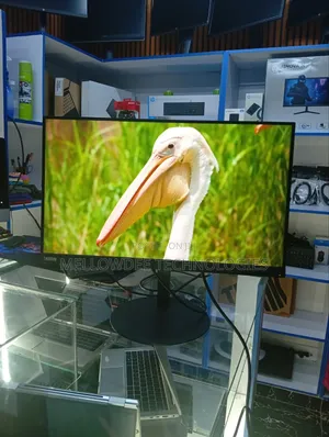 Lenovo 24 Inch Edge to Edge Monitor