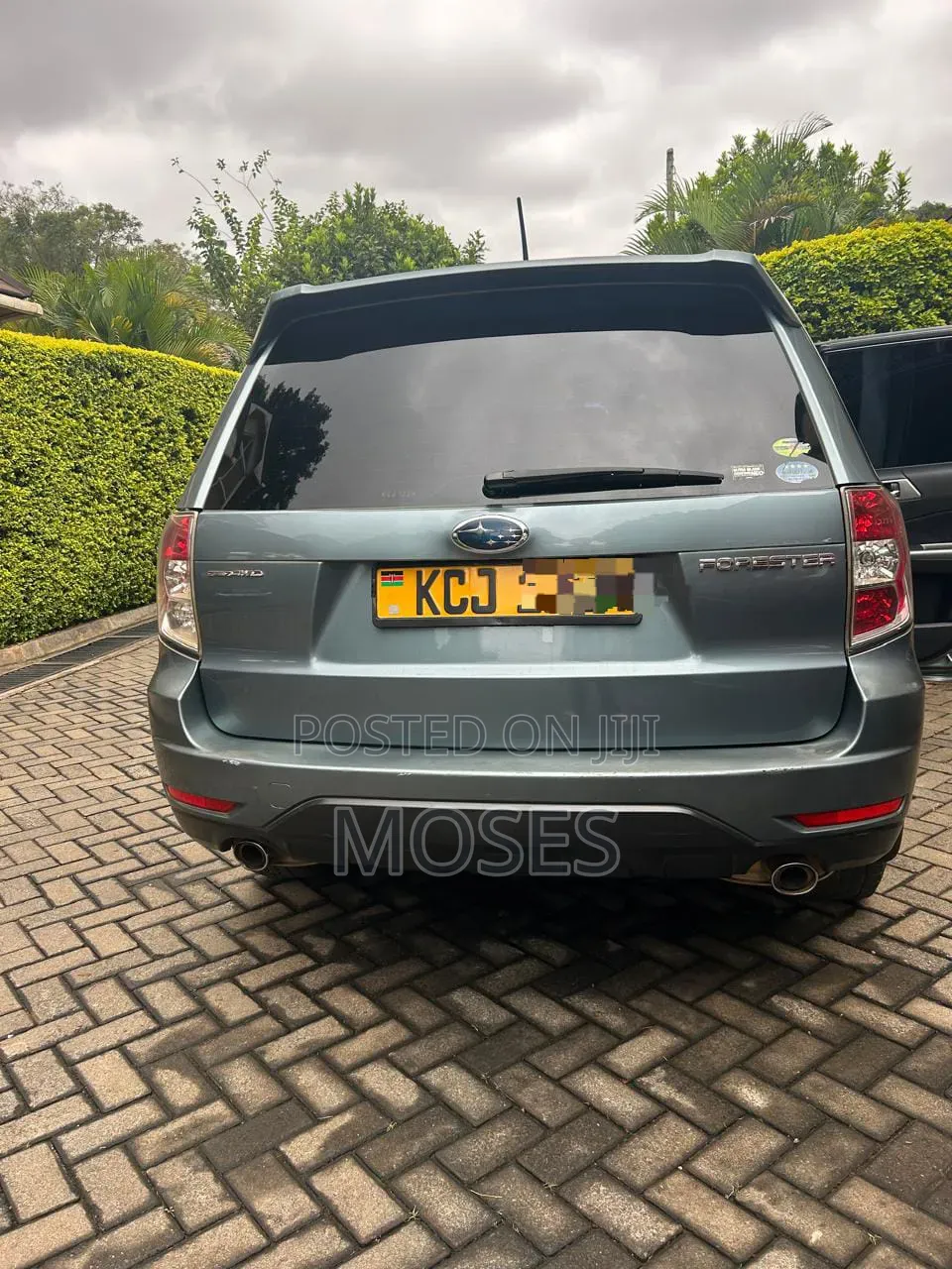 Subaru Forester 2011 Green
