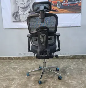 Mesh Orthopedic Office Chair With Footrest