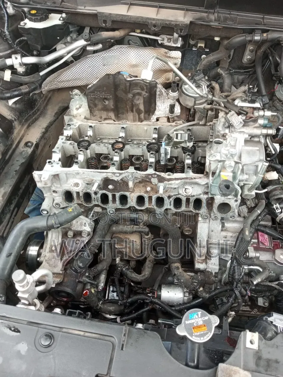 Car Diagnosis