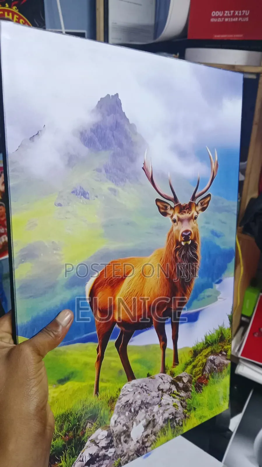 Art Pictures