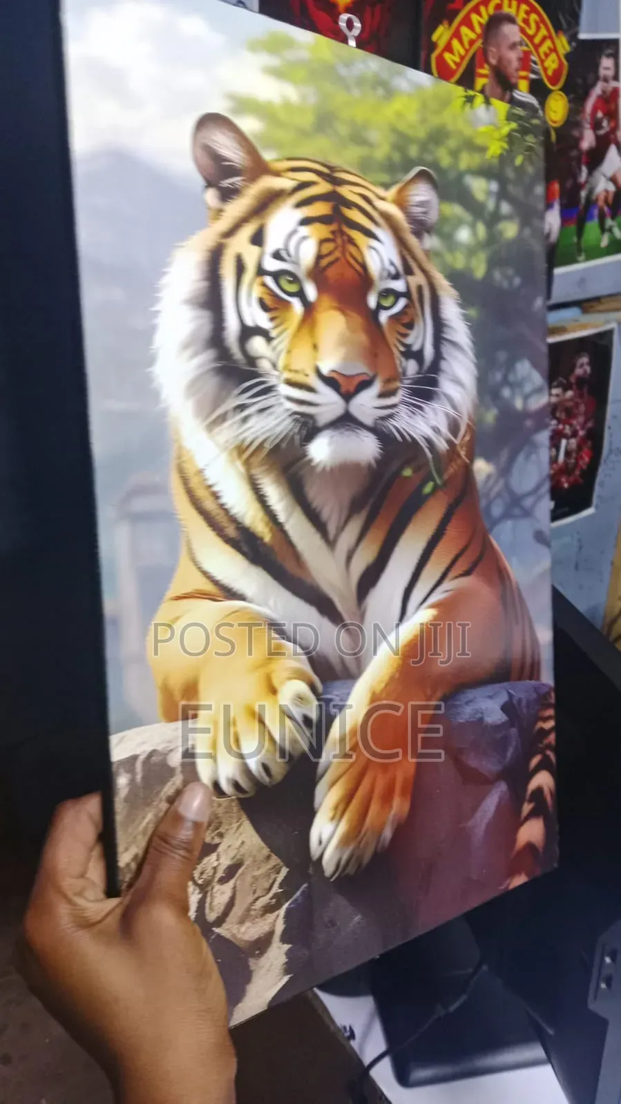 Art Pictures