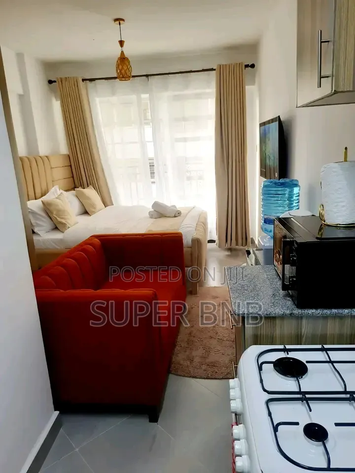 Furnished Studio One Bedroom Apartments South B