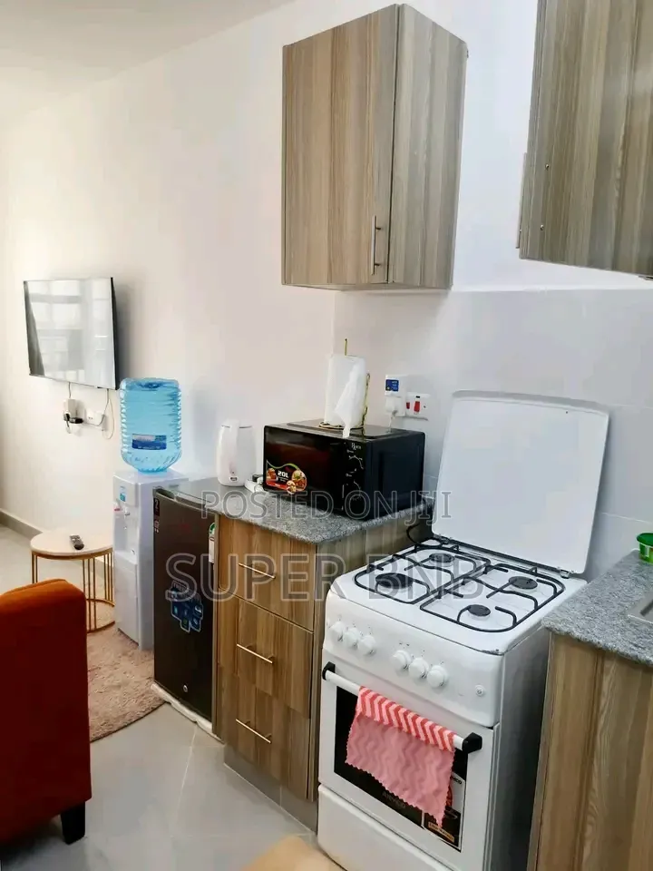 Furnished Studio One Bedroom Apartments South B