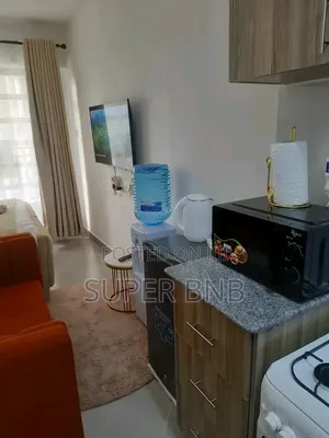 Furnished Studio One Bedroom Apartments South B