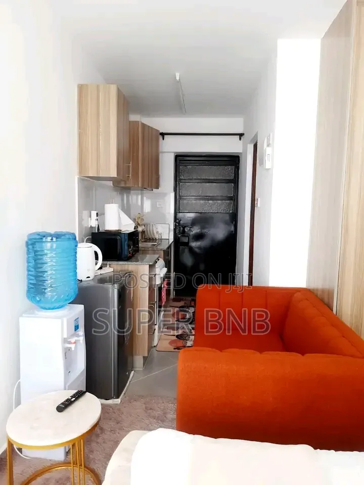 Furnished Studio One Bedroom Apartments South B